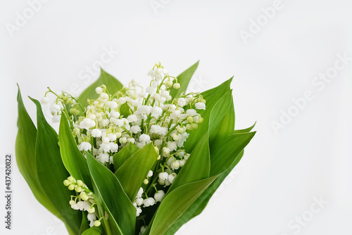 Scented bunch of lill of the valley flowers on white wall background