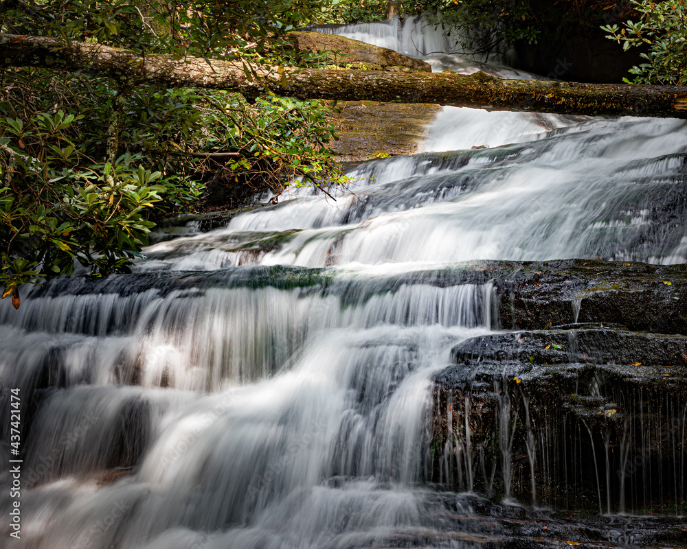 Fototapeta premium Fallen tree frames Camp Creek Falls in Pisgah Forest, NC