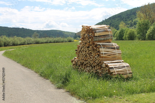 stack of firewood in the field
