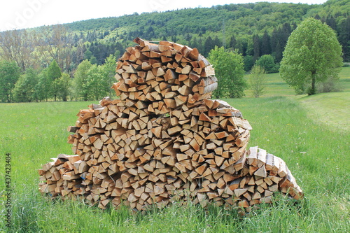 Pile of firewood