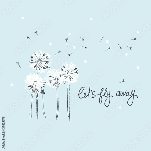 Fototapeta Naklejka Na Ścianę i Meble -  Let's Fly Away vector card. Hand drawn illustration of fluffy dandelions with seeds blowing in the wind. Handwritten quote. Cute card. Sense of adventure concept. Summer journey concept