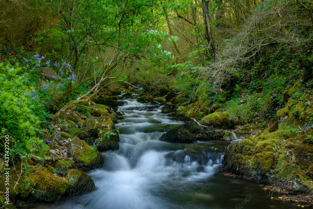 Bastareny natural spring and its surroundings in spring (Berguedà, Catalonia, Spain)