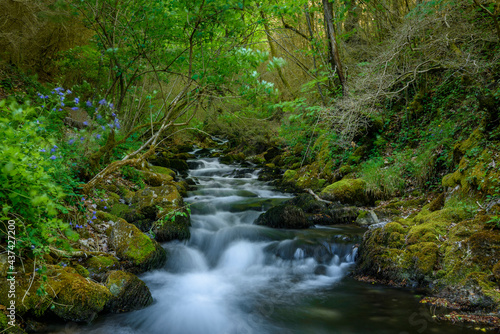 Bastareny natural spring and its surroundings in spring  Bergued    Catalonia  Spain 