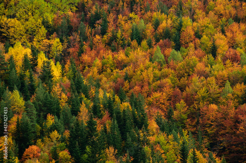 Bujaruelo valley in autumn (Ordesa and Monte Perdido National Park, Pyrenees, Spain)