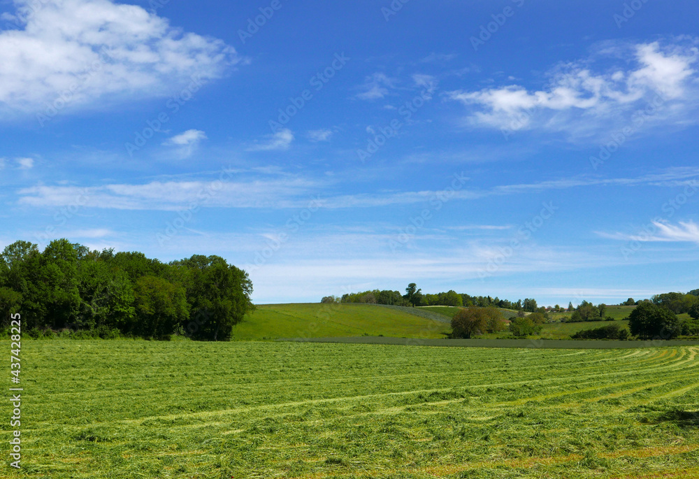 bellissimo e rilassante panorama di campi coltivati nella regione francese del Jura