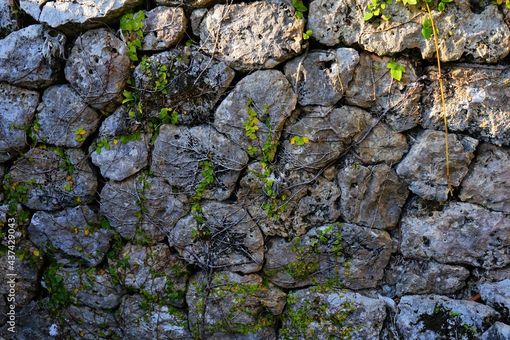 Stone wall at Kinjo in Okinawa, Japan -  石垣 金城町石畳道 沖縄 日本