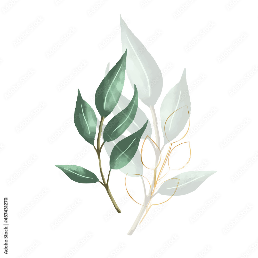 Set of botanic and wild leaves in watercolor painting. Set of botanic and wild leaves in watercolor painting.