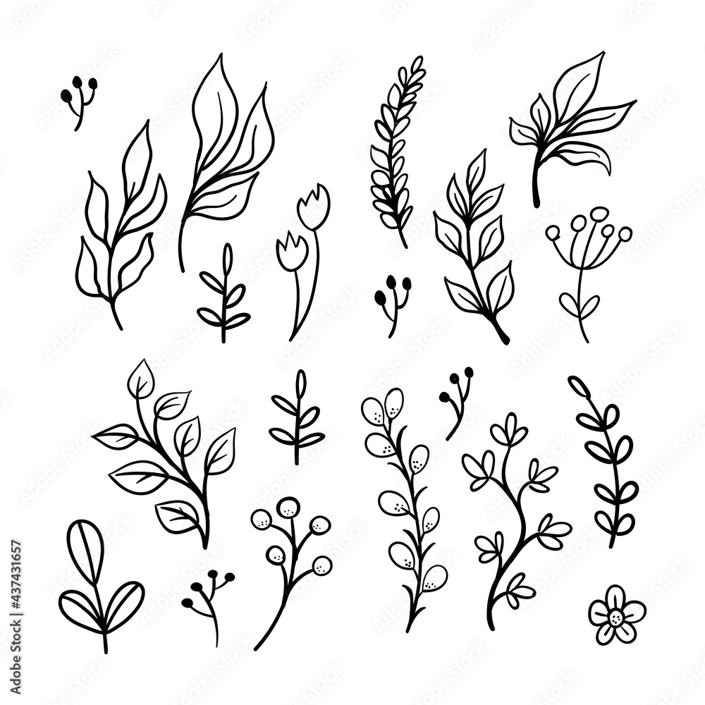 Floral graphic elements vector set. Flowers and plants hand drawn illustrations. Leaves and branches. Floral graphic elements vector set. Flowers and plants hand drawn illustrations. Leaves and branches.