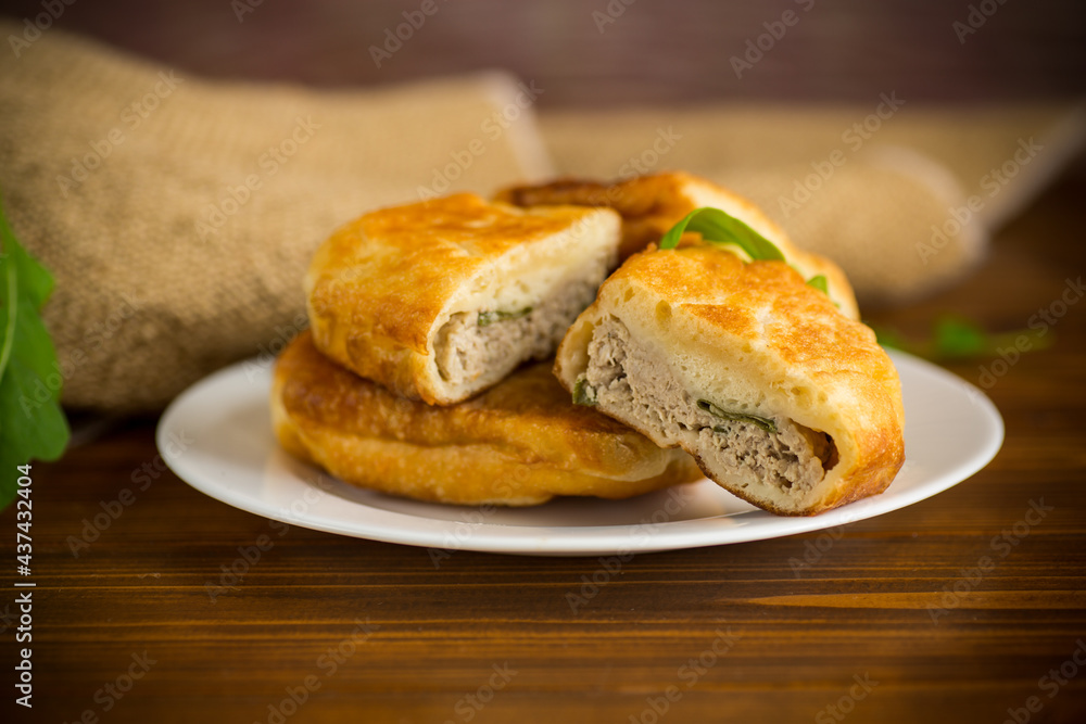 fried pies with meat in a plate on a white