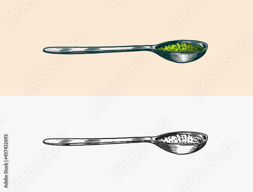 Spoon with pesto sauce. Basil seasoning. Engraved hand drawn sketch.