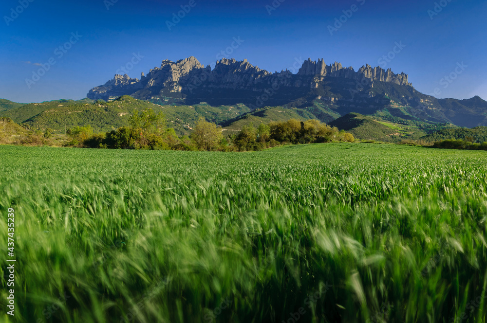 Spring afternoon among green fields near Marganell with Montserrat in the background (Barcelona province, Catalonia, Spain)