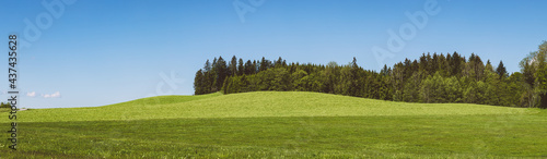 Panorama Wiese und B  ume im Sommer  Banner  Bannergr    e  Hintergrund
