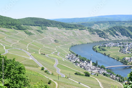 Moseltal bei Piesport mit gewundener Hauptstraße durch die Weinberge photo