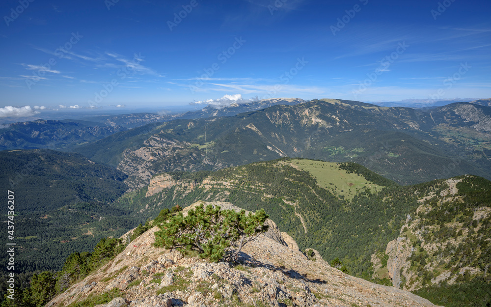 Views from near Cap de la Gallina Pelada summit, looking towards the Port del Comte range  (Berguedà, Catalonia, Spain, Pyrenees)