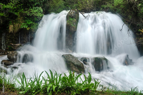 Adou del Bastareny source and its surroundings in spring  Bergued    Catalonia  Spain  Pyrenees 