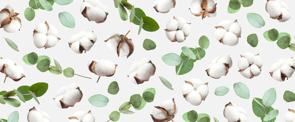Flying cotton flowers, green twigs of eucalyptus on light gray background. Creative Floral background with cotton seeds, delicate flowers of fluffy cotton. Flat lay flowers composition, greeting card