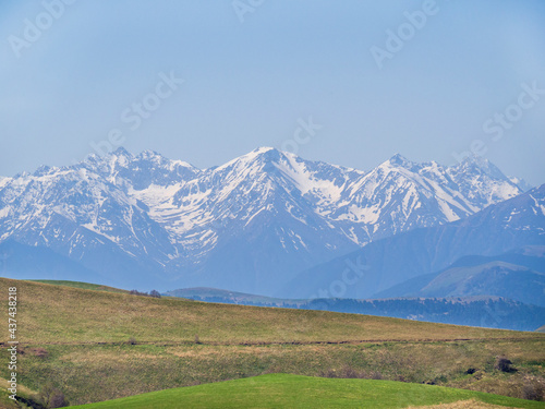 Wallpaper Mural Green grass on the yellow spring alpine meadows of the Gumbashi pass. Snow covered huge mountain Elbrus on horizon against the blue sky. Mountainous, hilly summer landscape of the Caucasus Mountains. Torontodigital.ca
