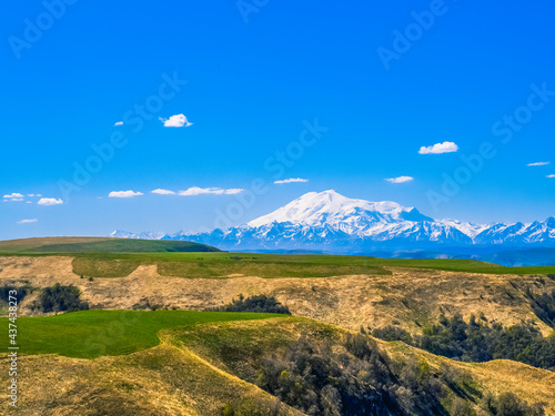Green grass on the yellow spring alpine meadows of the Gumbashi pass. Snow covered huge mountain Elbrus on horizon against the blue sky. Mountainous, hilly summer landscape of the Caucasus Mountains.