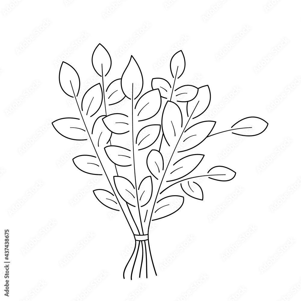 Broom made of tree branches for massage in the steam room.Contour black and white isolated illustration in doodle style on white background. Broom made of tree branches for massage in the steam room.Contour black and white isolated illustration in doodle style on white background.