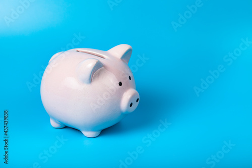 Pink pig piggy bank on a blue background.