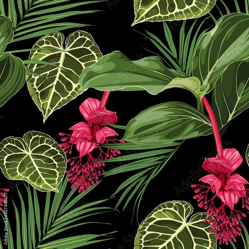 Summer colorful background. Seamless pattern with tropical  Medinilla flowers and exotic palm leaves. Fashionable illustration with tropical flowers and leaves on a black background.