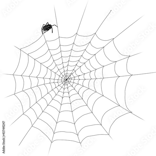 spider and web