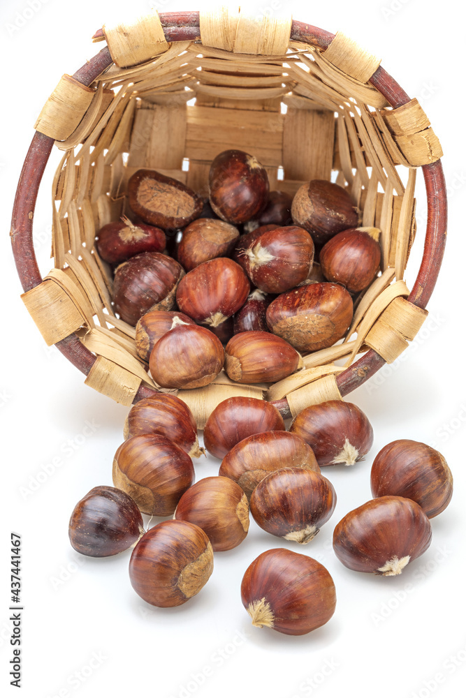 Basket with chestnuts. Isolated on white background. Basket with chestnuts. Isolated on white background.