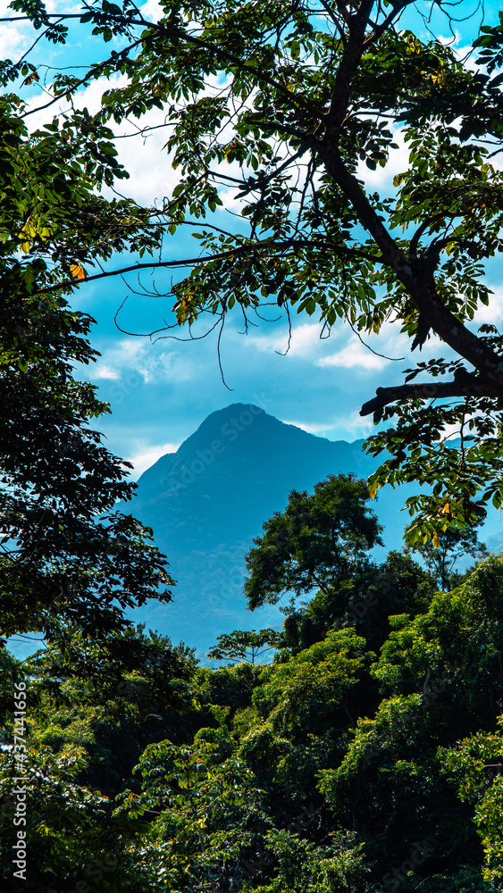 Tropical Island Waterfall Rapids Water Nature Paradise Summer Adventure Travel Tourism Green Blue Trees Landscape Leaves Mountain Hills Birds Palm tree View Tropical Island Waterfall Rapids Water Nature Paradise Summer Adventure Travel Tourism Green Blue Trees Landscape Leaves Mountain Hills Birds Palm tree View