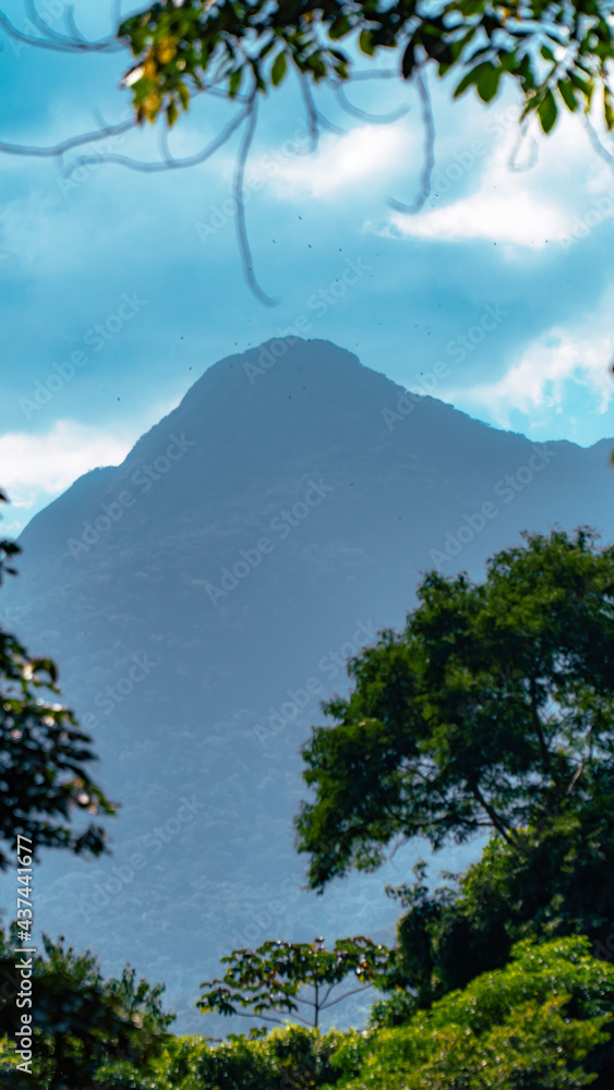 Tropical Island Waterfall Rapids Water Nature Paradise Summer Adventure Travel Tourism Green Blue Trees Landscape Leaves Mountain Hills Birds Palm tree View Tropical Island Waterfall Rapids Water Nature Paradise Summer Adventure Travel Tourism Green Blue Trees Landscape Leaves Mountain Hills Birds Palm tree View