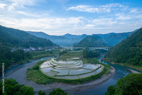 和歌山県有田川町の日本の棚田百選の名勝「あらぎ島」の初夏 photo