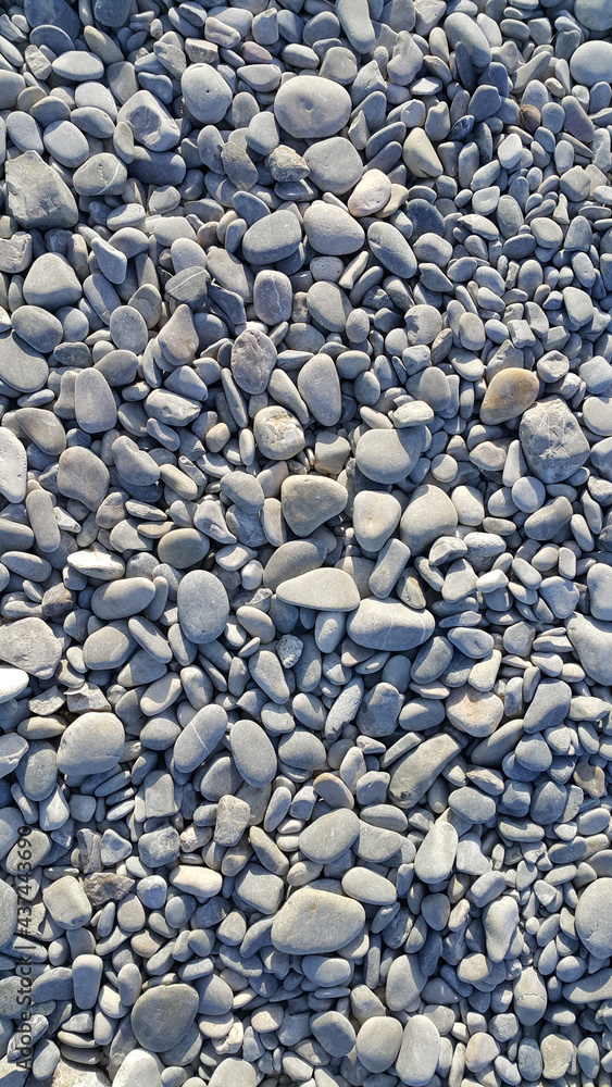 Background from gray sea pebbles Background from gray sea pebbles