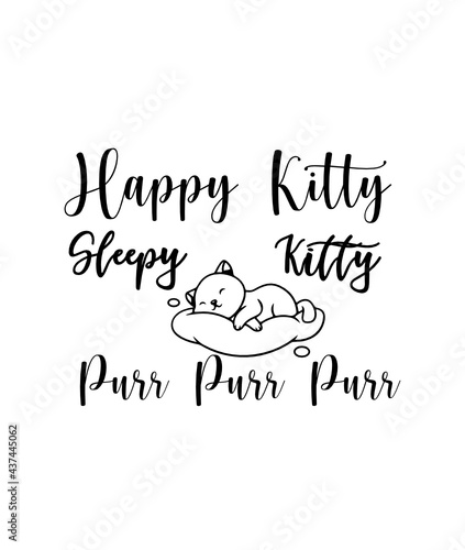 Happy kitty, sleepy kitty purr purr purr. Soft kitty phrase. Warm kitty quote. Big Bang theory.