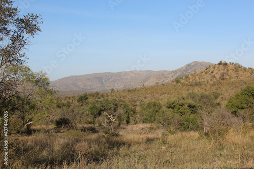 Krüger Park - Afrikanischer Busch / Kruger Park - African bush /