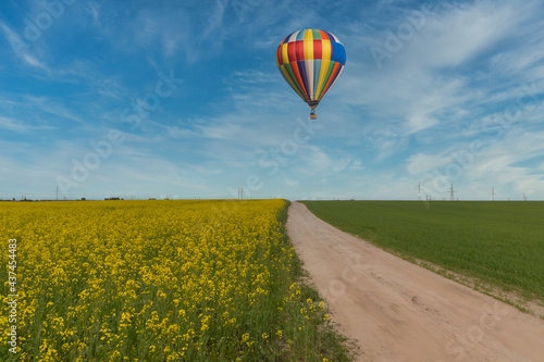 Spring field of blooming rapeseed to the horizon and a balloon flying over it.