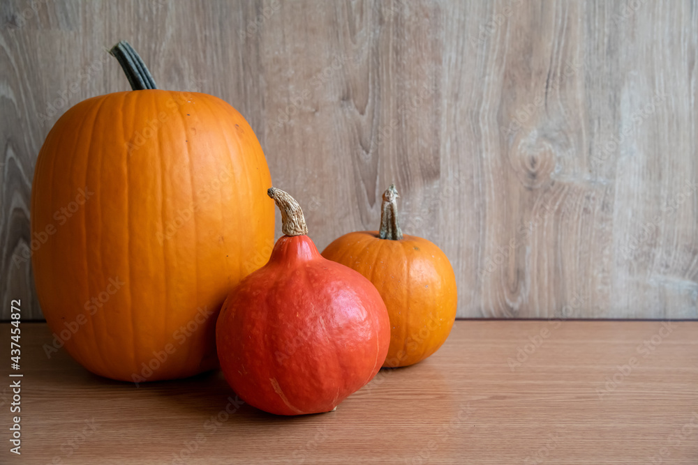Group of various orang ripe pumpkins lies on wooden the table. Close-up view. Selective focus. Copy space for your text. Organic food theme. Group of various orang ripe pumpkins lies on wooden the table. Close-up view. Selective focus. Copy space for your text. Organic food theme.