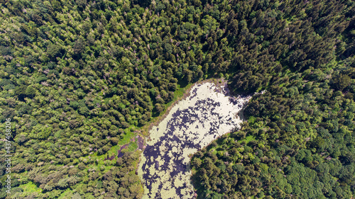 Pond in the center of a tree filled forest. Image captured with a drone for an aerial view. 