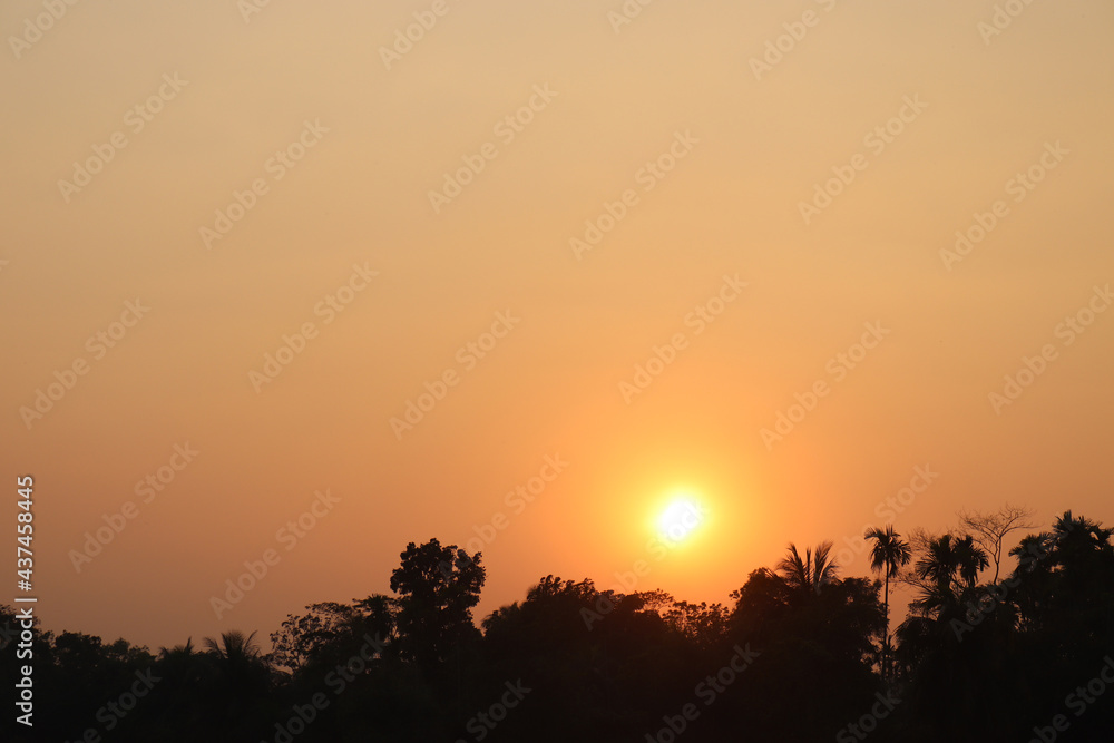Sunset in a village behind the tree. Yellow evening sky . Beautiful evening sky Sunset in a village behind the tree. Yellow evening sky . Beautiful evening sky
