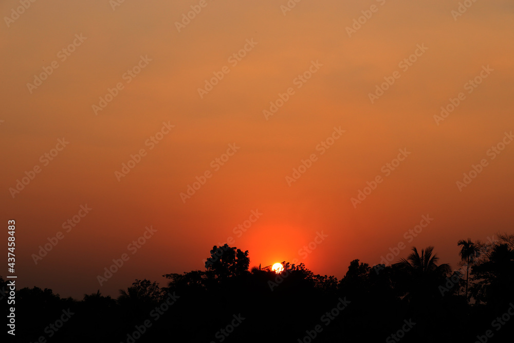 Red sunset over forest, sunset background.