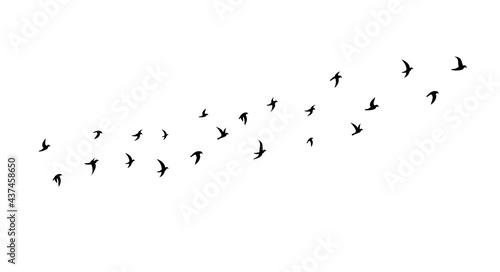 A flock of flying birds. Side view. Vector illustration