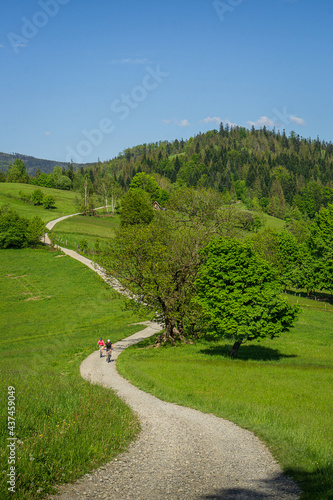 Fototapeta Naklejka Na Ścianę i Meble -  Wisła - Cieńków | Śląsk, Polska