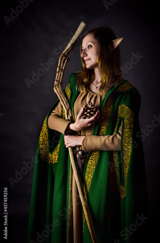 Beautiful elven princess holding a magic staff and a bump