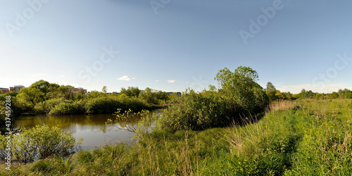 A summer walk through the forest, a beautiful panorama.