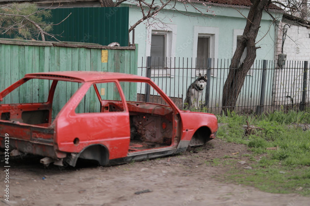 Fototapeta premium A truck is parked in front of a building