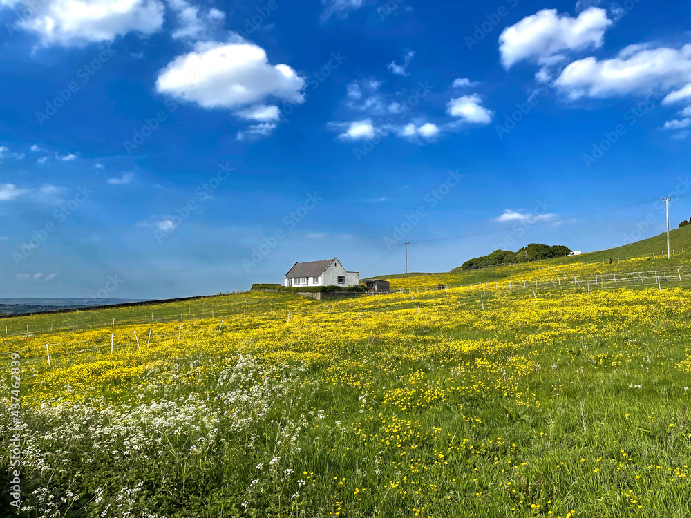 Sloping fields, with buttercups, a white house, and vivid blue skies in, Queensbury, Bradford, UK