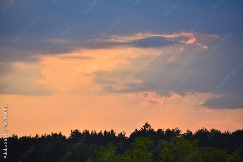 Niebo nad lasem o zachodzie słońca Niebo nad lasem o zachodzie słońca