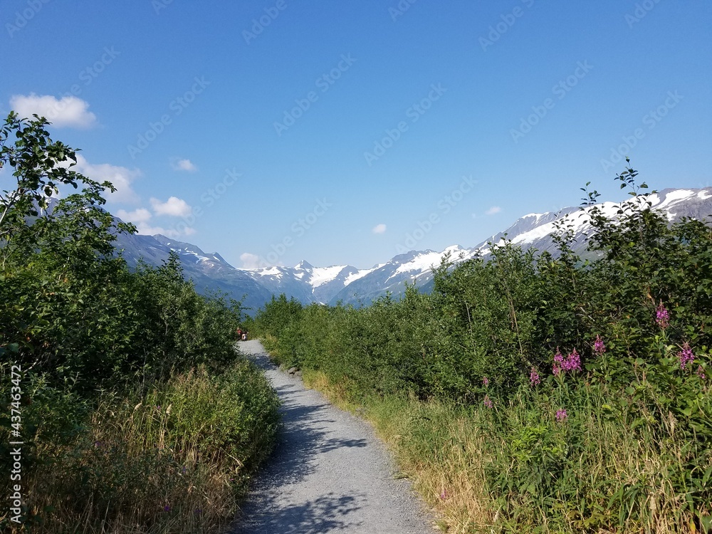 A glimpse at scenic Alaskan vistas 