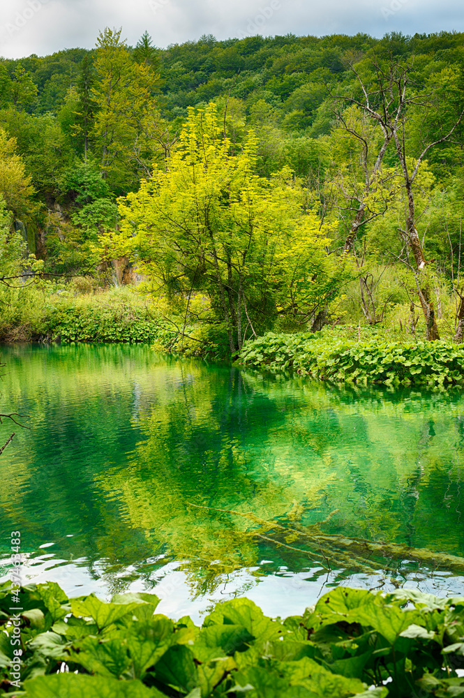 Fototapeta premium Kroatien Plitvicer Seen