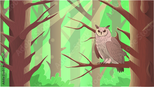 An owl sitting on the branch, watching seriously and wisely. Fairy tail forest looks magic. Beautiful and powerful bird in the woods suits for a background, advertisment, video or presentation.