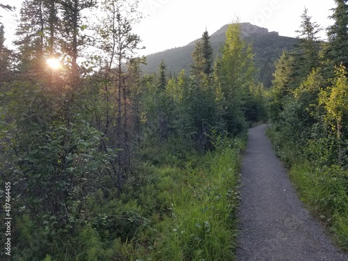 A glimpse at scenic Alaskan vistas 