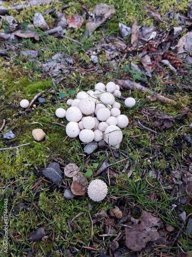 A glimpse at scenic Alaskan vistas 